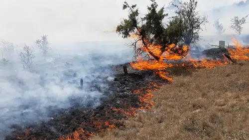 Aman Dikkat, Anız Yakanlara Ağır Cezalar Uygulanacak