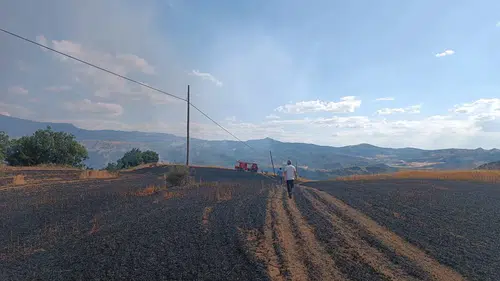 25 Dönüm Buğday Tarlası Küle Döndü