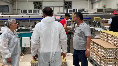 Yumurta Paketleme Tesisleri Denetlendi