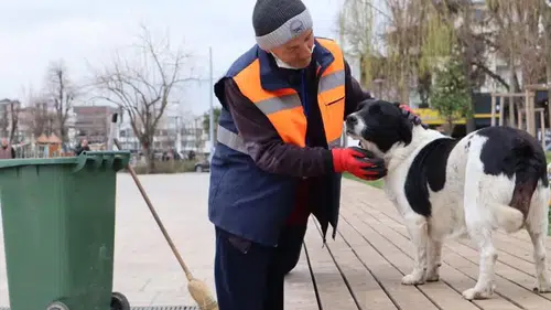 Düzce'de Temizlik İşçisi ve Sahipsiz Köpeğin Samimi Anları Görüntülendi!