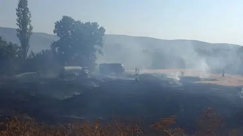 Tokat'ta çıkan anız yangınında yaklaşık 5 dönüm alan zarar gördü