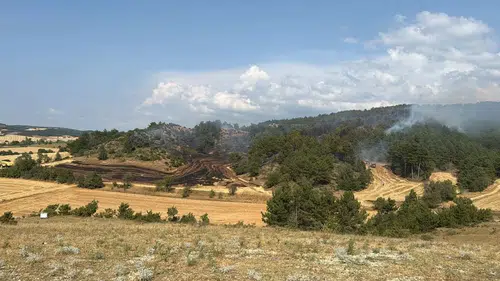 Bolu'da iki ayrı ormanlık alanda çıkan yangınlar kontrol altına alındı