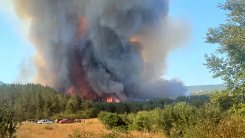 Karabük'te ormanlık alanda çıkan yangına müdahale ediliyor
