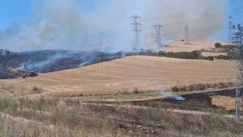Çanakkale’de tarım arazisinde çıkan yangın kontrol altına alındı