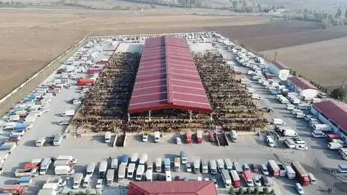 Hayvan Hareketleri Serbest, Pazarlar Kapalı