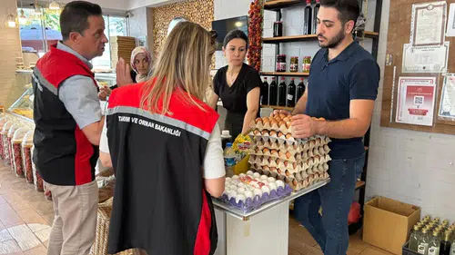 Alo 174 ve CİMER İhbarları Denetime Dönüşüyor