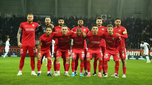 Kartal, Martı Avında!