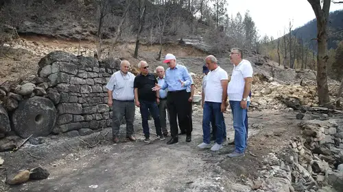TZOB Başkanı Bayraktar, Karabük'te yangın bölgesinde incelemelerde bulundu