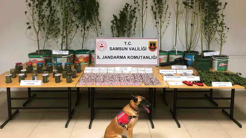 Samsun'da düzenlenen uyuşturucu operasyonunda 1 kişi gözaltına alındı