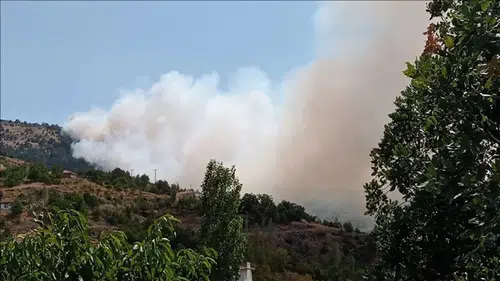 Malatya'daki orman yangınına müdahale ediliyor