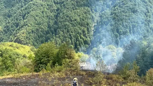 Kastamonu'da bir evde çıkarak ormanlık alana sıçrayan yangın söndürüldü