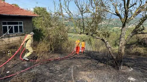 Bartın'da çıkan anız yangını ağaçlık alana sıçradı