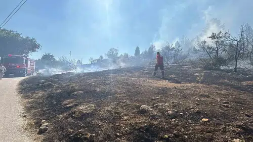 Bolu'da çalılık alanda çıkan yangın söndürüldü
