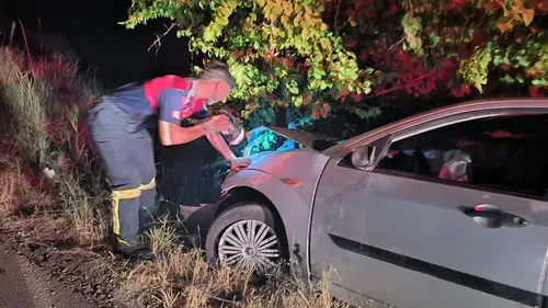 Kontrolden Çıkan Otomobil Ağaca Çarptı