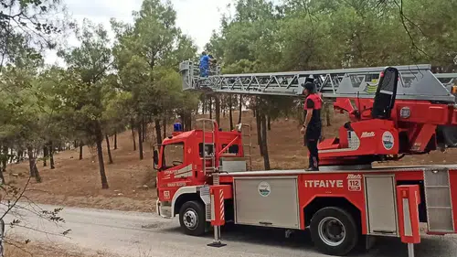Osmancık Kent Ormanı Yolu Güneş Enerjisiyle Aydınlatıldı