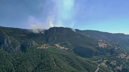 Sinop'ta çıkan orman yangınına müdahale ediliyor