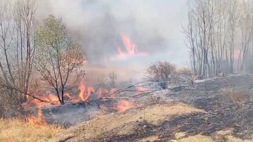 Yozgat’ta peş peşe çıkan yangınlar korkuttu