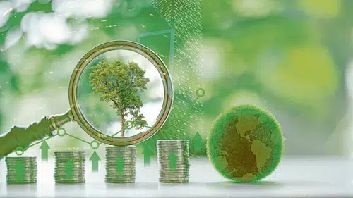 Garanti BBVA'dan tekstil sektörünün yeşil dönüşümüne finansman desteği