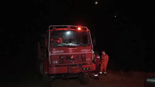 Arazi Yangının Ormana Sıçramasını Ekipler Önledi
