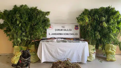 Evinde Uyuşturucu Ele Geçirilen Zanlı Tutuklandı