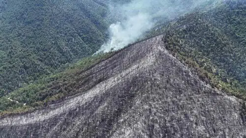 Karabük'te orman yangınlarında zarar gören alanlar havadan görüntülendi
