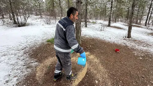 Kış Ortasında Şefkat Eli