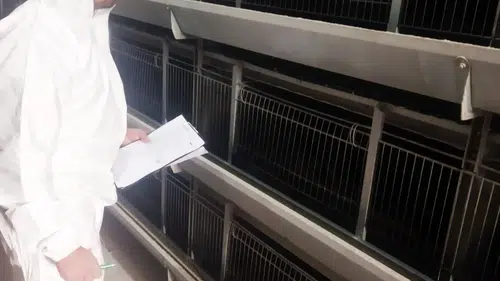 Kanatlı İşletmelerine Sıkı Takip