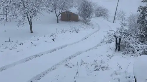 Ceviz Diyarında Kartpostallık Görüntüler