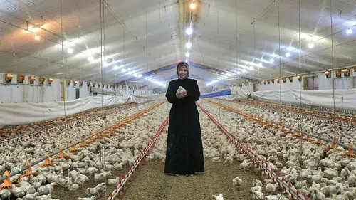 Çorum’da Tarımsal Kalkınmaya Ne Kadar Destek Verildi?