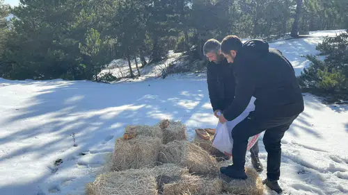 ‘Bir Kap Yem, Bir Lokma Umut’