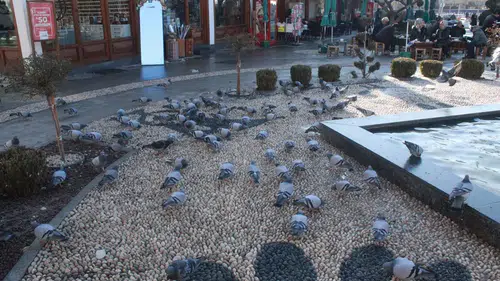 Çorum’un Kalbinde Kanat Sesleri