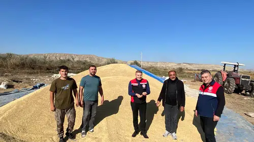 Kula Köyünde Çeltik Hasadı Heyecanı