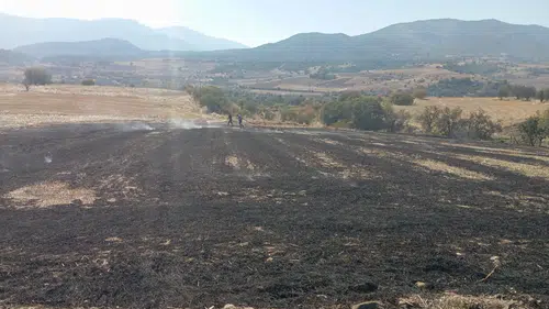 İki Ayrı Noktada Çıkan Yangın Söndürüldü