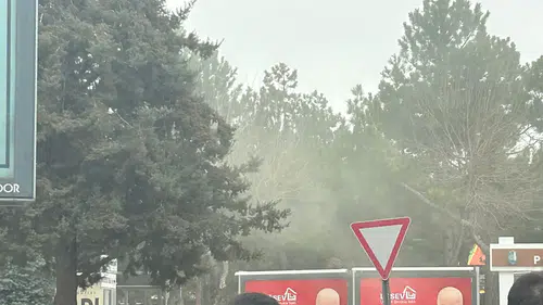 Yunus Emre Parkı'nda Polen Yoğunluğu