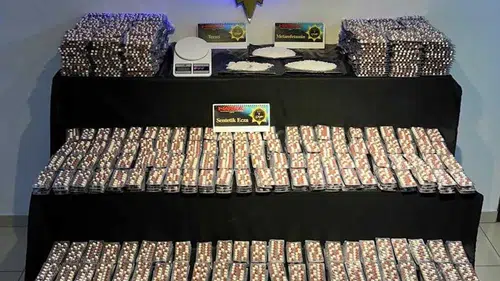 Zehir Tacirlerine Darbe