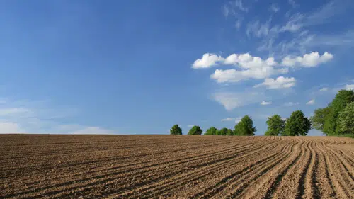 Vatandaşların en çok tercih ettiği gayrimenkul belli oldu