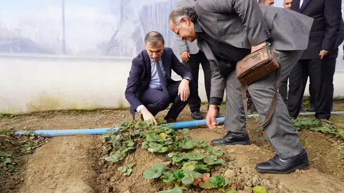 Osmancık’ta Mesleki Eğitime Sera Desteği