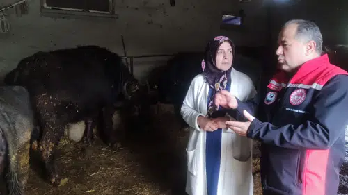 Anadolu Mandaları Kadın Eline Emanet