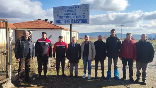 Sevindikalan’daki İstasyonda Verim Mesaisi