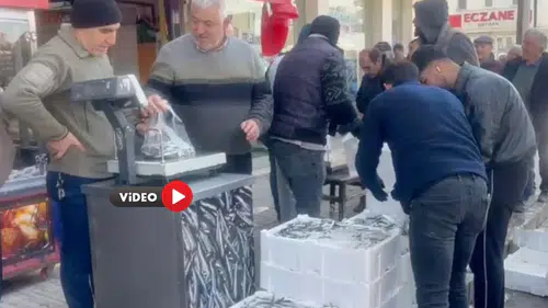 1 Ton 700 Kilogram Balığı Ücretsiz Dağıttılar