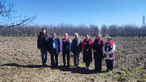 Kiraz ve Bağ Üreticilerine Tarlada Budama Eğitimi