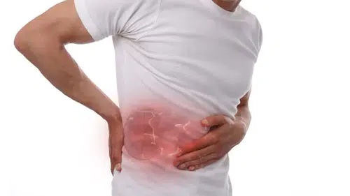 Sağlıklı Böbrekler İçin Sağlıklı Bir Çevre