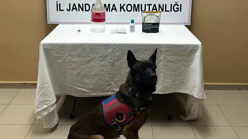 Jandarma Kapıyı Çalınca Ortaya Çıktı