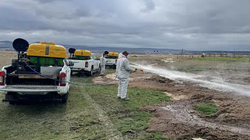 Çorum Belediyesi’nden Yaz Öncesi Vektörle Mücadele