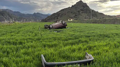 Kontrolden Çıkan Otomobil Buğday Tarlasına Daldı