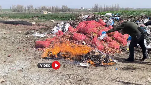 Yüz Kırk Bin Kaçak Sigara Dumanı Bile Tütmeden Kül Oldu