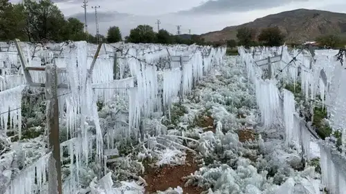 Uyarı Yinelendi, Zirai Don Geliyor