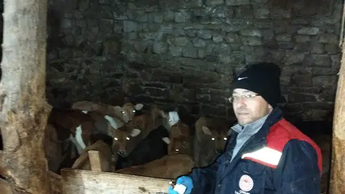 Hayvan Hastalıklarına Karşı Köy Köy Aşı Nöbeti