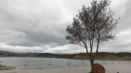 Yağışlar Yüz Güldürdü