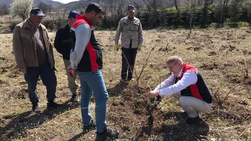 Üreticilere Uygulamalı Bağ Budama Eğitimi